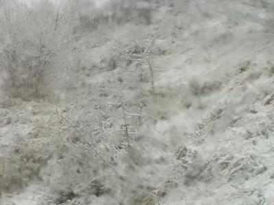 20080613094605-nieve.jpg