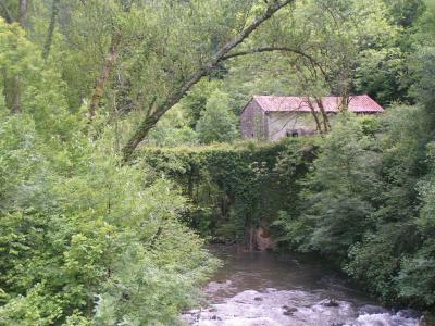 20080617220106-3232.jpg